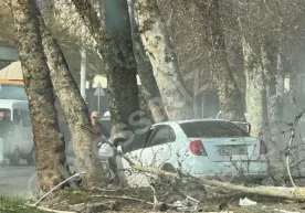 Toshkent shahrida Lacetti avtomashinasi daraxtga borib urildi фото