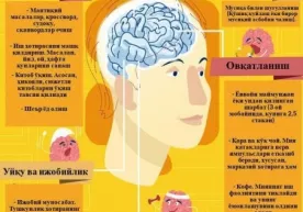 Хотирани қандай мустаҳкамлаш мумкин? (инфографика) фото