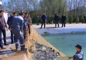 Samarqandda ikki tonna baliq bepul tarqatildi (foto) фото