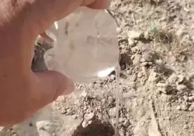 Чўлда сув топишнинг ажойиб ва содда усули! (видео) фото