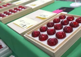 Японияда бир ҳовуч гилос 4440 долларга сотилди фото