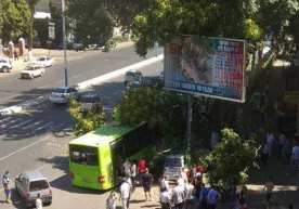 Toshkentda yo‘lovchi avtobusi daraxtga urildi, jarohatlanganlar bor (foto) фото