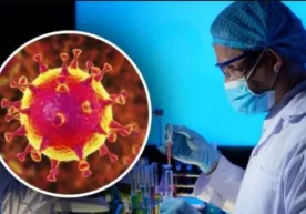 34 kishiga koronavirus yuqishiga sababchi bo‘lgan tibbiyot xodimiga nisbatan jinoyat ishi qo‘zg‘atildi фото