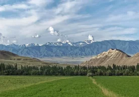 Ўзбекистонлик фотосуратчилар Wiki Loves Earth танловида иккинчи бўлди фото