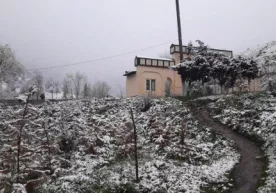 Апрель ойи охирида Зоминда қор ёғди (фото, видео) фото