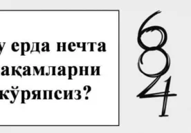 Бу расмда нечта рақамларни кўряпсиз? Жавоб сизни ҳайрон қолдиради… фото