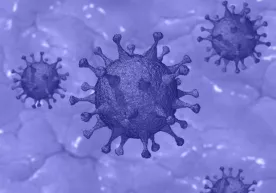 Koronavirus xavfli shaklining kelib chiqish sababi fosh etildi фото