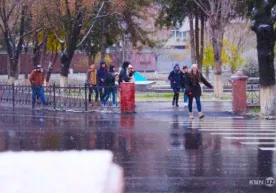 Ҳайдовчилар ўқисин: йўл қоидасида ўзгалар ҳақи фото