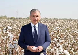 Италия нашри Ўзбекистонда пахтачилик соҳасидаги ислоҳотларни эътироф этди фото