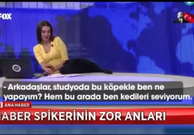 Жонли эфир вақтида студияга ит кириб келди (видео) фото