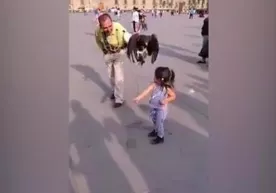 Бургут қизчанинг бошини чангаллаб олди (видео) фото
