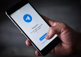 Сурхондарёда Telegram орқали арзон маҳсулот сотишини айтиб, ўзганинг пулини ўзлаштирган шахс ушланди фото