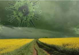 Олимлар иқлимнинг коронавирус тарқалишига таъсирини ўрганишди фото