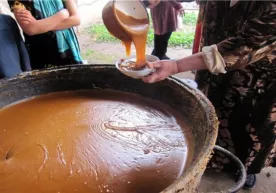 Ortganini nima qilay yoki sumalakni rostdan ham shunchalik yaxshi ko‘ramizmi? фото