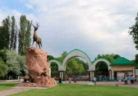 Тошкент ҳайвонот боғига кириш чипталари нархи ошди фото