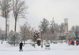 Эртага навбатдаги қор ёғиши кутилмоқда! фото