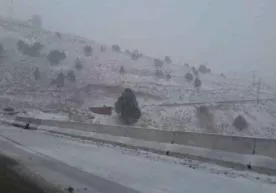 Ertaga yomg‘ir qorga aylanishi kutilmoqda фото