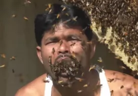 32 yoshli hind ogʻzini asalarilar bilan toʻldirdi (video) фото