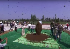 Millionlab odamlarni qo‘rquv va hayajonga solgan Ginness rekordi (video) фото