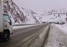 FVV «Qamchiq» dovoni bo‘yicha tarqalgan ma’lumotlarni rad etdi (foto) фото