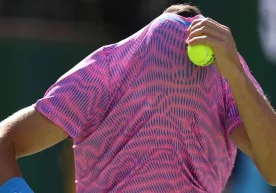 Tennis o‘yini asalarilar “hujumi” sabab to‘xtatildi фото