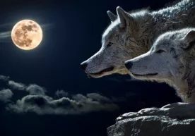 Rüyada ay görüntüsü görmek ne anlama gelir? фото