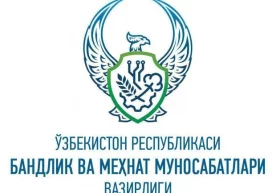 Vazirlik kirakashlik yoki ustachilik uchun patent joriy etilishi haqidagi xabarni rad etdi фото