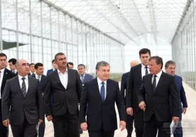 Шавкат Мирзиёев Андижондаги бананзор билан танишди (фото) фото