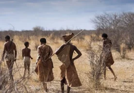 Noyob genetik izchilliklar Afrikadagi qadimgi odamlarning tarixini yoritadi фото