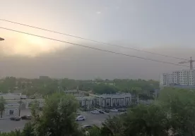 Тошкент шаҳрида кучли бўрон кузатилиб, қуюқ чанг кўтарилди фото