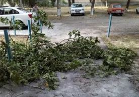 24 октябрь куни республика бўйлаб кучли шамол кузатилади фото