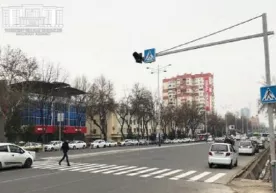 “Peshexod”lar qachongacha piyodalarning boshini yeydi?! фото