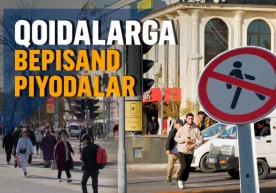 O‘lim bilan o‘ynashish: yo‘llarda piyodalar o‘zlarini qanday tutishmoqda? фото