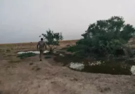 Бухорода инспекторга ўқ узганлар қўлга олинди фото