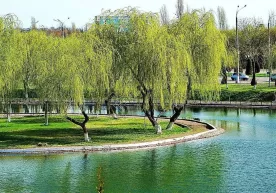 O‘zbekistonda 26 iyun kuni qanday ob-havo kuzatilishi ma’lum qilindi фото