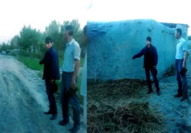 Buxoroda bir guruh "eshak o‘g‘rilari" jazoga tortildi фото