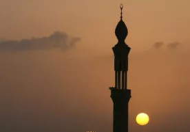 Шайх йигитнинг попугини пасайтириб қўйди... фото