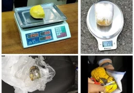 Toshkent, Andijon va Sirdaryo viloyatlarida narkokurerlar qo‘lga olindi фото
