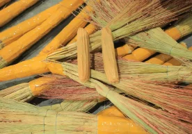 Drugs hidden between brooms were discovered (photo) фото