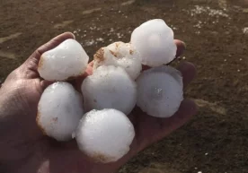 Arabistonda keyingi 20 yildagi eng shiddatli yog‘ingarchilik oqibatlari (foto) фото