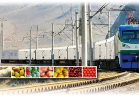 Noyabrda Toshkentdan Moskvaga dastlabki “Agroekspress” poyezdi yo‘l oladi фото