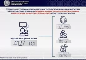 Президент билан учрашувдан олдин мурожаатлар статистикаси: Tадбиркорларни энг кўп қандай муаммолар қийнамоқда? фото