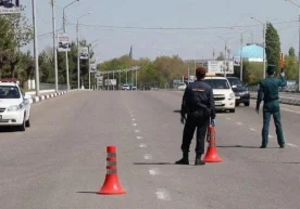 7 апрелдан Тошкент шаҳри кўчаларида «ов» бошланади фото