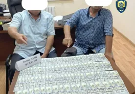 Zangiotada 2,5 gektar yerni 82,5 ming dollarga pullamoqchi bo‘lganlar aniqlandi фото