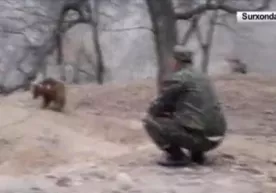 Sariosiyo tumanidagi xonadonlardan birida ayiq bolasi boqilgan (video) фото