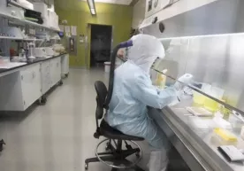 Olimlar koronavirus yuqib qolgandan keyin nechanchi kuni paydo bo‘lishini hisoblab chiqdi фото