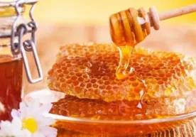 Asalning foydali xususiyatlaridan xabardormisiz? фото