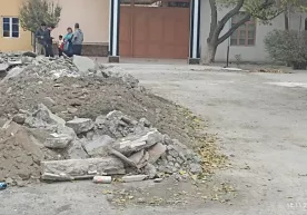 Navoiyda emizikli it bolalar ko‘z o‘ngida otib o‘ldirildi фото