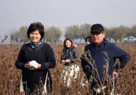 Andijon viloyati hokimi dam olish kunlari paxta terdi (video) фото