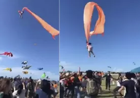Тайванда улкан варрак уч ёшли қизалоқни учириб кетди (видео) фото